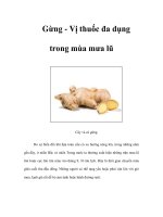 Tài liệu Gừng - Vị thuốc đa dụng trong mùa mưa lũ doc