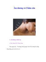 Tài liệu Âm dương và Châm cứu docx