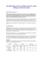 Tài liệu Kỹ thuật trồng cây tỏi ta (Allium sativum L.) theo hướng sản xuất rau an toàn ppt