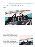 Writing for the web its not what you learned in english class