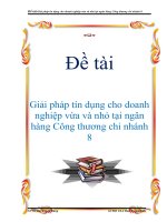 Tài liệu Đề tài: Giải pháp tín dụng cho doanh nghiệp vừa và nhỏ tại ngân hàng Công thương chi nhánh 8 ppt