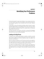 Tài liệu Practical mod_perl-CHAPTER 7:Identifying Your Performance Problems doc