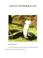 Tài liệu CẤP CỨU NGƯỜI BỊ RẮN CẮN docx