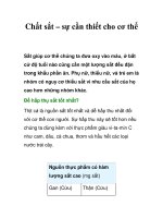 Tài liệu Chất sắt – sự cần thiết cho cơ thể docx