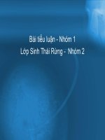 Tài liệu Chu trình Cacbon ppt