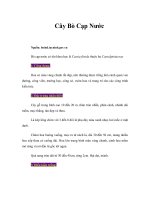 Tài liệu Cây Bò Cạp Nước docx