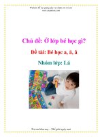 Tài liệu Chủ đề: Ở lớp bé học gì? - Đề tài: Bé học a, ă, â - Nhóm lớp: Lá pptx