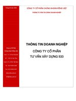 Tài liệu CÔNG TY CỔ PHẦN TƯ VẤN XÂY DỰNG 533 ppt