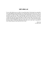 Báo cáo thực tập tốt nghiệp chuyên đề tại công ty TNHH Liên Tiến