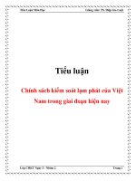 Tiểu luận Chính sách kiểm soát lạm phát của Việt Nam trong giai đoạn hiện nay