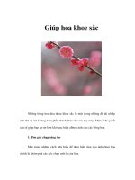 Tài liệu Giúp hoa khoe sắc doc