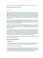 BƯỚC ÐẦU NGHIÊN CỨU TÁC DỤNG KHÁNG KHUẨN Helicobacter pylori -CỦA CHITOSAN