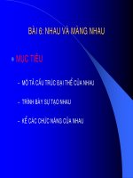 Tài liệu Bài 6: Nhau và màng nhau pdf