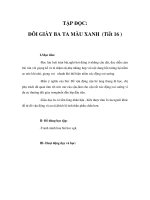 Tài liệu Tập đọc 4 - ĐÔI GIÀY BA TA MÀU XANH (Tiết 16 ) docx