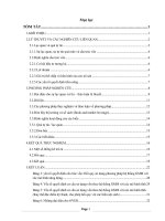 SỰ QUÁ tự TIN, sự lạc QUAN và các yếu tố QUYẾT ĐỊNH cấu TRÚC vốn 