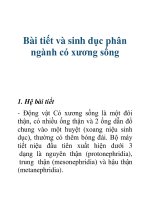 Tài liệu Bài tiết và sinh dục phân ngành có xương sống ppt