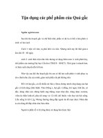 Tài liệu Tận dụng các phế phẩm của Quả gấc pdf