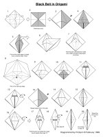 Tài liệu Nghệ thuật xếp hình Nhật Bản:blackbelt doc