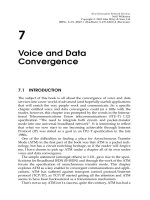 Tài liệu Dịch vụ mạng thế hệ kế tiếp P7 ppt