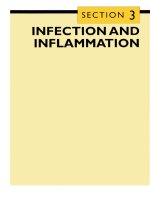 Tài liệu CLINICAL PHARMACOLOGY 2003 (PART 13) ppt