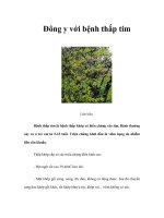 Tài liệu Đông y với bệnh thấp tim doc