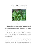 Tài liệu Rau dại làm thuốc quý pdf