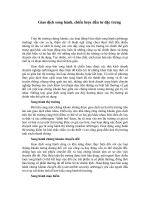 Tài liệu Giao dịch song hành, chiến lược đầu tư đặc trưng ppt