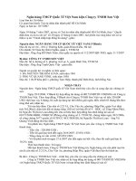 Tài liệu Ngân hàng TMCP Quốc Tế Việt Nam kiện Công ty TNHH Sơn Việt pptx