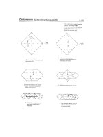 Tài liệu Nghệ thuật xếp hình:cankerworm pdf