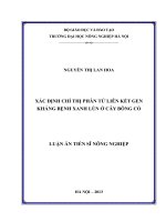 Xác định chỉ thị phân tử liên kết với gen kháng bệnh xanh lùn ở cây bông cỏ 