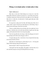 Tài liệu Phòng và trị bệnh mềm vỏ kinh niên ở tôm doc