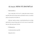 Tài liệu Kể chuyện - TIẾNG VĨ CẦM Ở MỸ LAI pptx