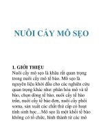 Tài liệu nuôi cấy mô sẹo doc