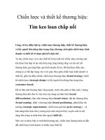 Tài liệu Chiến lược và thiết kế thương hiệu doc