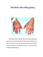 Tài liệu Bài thuốc chữa thống phong pdf