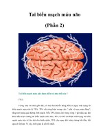 Tài liệu Tai biến mạch máu não (Phần 2) pdf