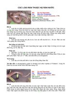 Tài liệu Đặc điểm các loài rắn thuộc họ rắn nước doc