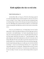 Tài liệu Kinh nghiệm cho táo ra trái sớm pdf