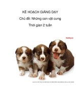 Tài liệu Kế họach ngày - Những con vật cưng docx