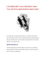 Tài liệu CÁC HÌNH THỨC GIAO TIẾP KHÁC NHAU ỨNG VỚI TỪNG KHÁCH HÀNG KHÁC NHAU pptx