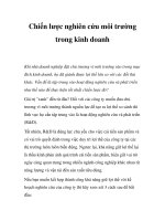 Tài liệu Chiến lược nghiên cứu môi trường trong kinh doanh pptx