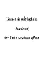 Tài liệu Lên men sản xuất thạch dừa ppt