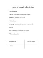 Tài liệu Tập làm văn - TRẢ BÀI VĂN TẢ CẢNH doc