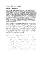 Tài liệu Cơ bản về xử lý số tín hiệu ppt