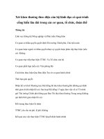 Tài liệu Xét khen thưởng theo diện cán bộ lãnh đạo có quá trình cống hiến lâu dài trong các cơ quan, tổ chức, đoàn thể docx