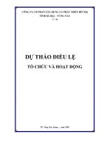 Tài liệu CÔNG TY CỔ PHẦN XÂY DỰNG VÀ PHÁT TRIỂN ĐÔ THỊ TỈNH BÀ RỊA VŨNG TÀU - DỰ THẢO ĐIỀU LỆ VÀ TỔ CHỨC HOẠT ĐỘNG docx