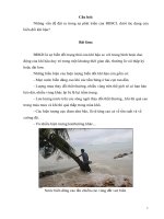 Tài liệu Những vấn đề đặt ra trong sự phát triển của ĐBSCL dưới tác dụng của biển đổi khí hậu ppt