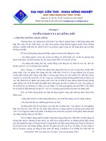 Tài liệu Tuyển chọn và lai giống bắp docx