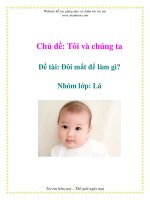 Tài liệu Chủ đề: Tôi và chúng ta - Đề tài: Đôi mắt để làm gì? - Nhóm lớp: Lá pdf