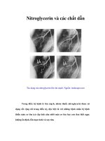 Tài liệu Nitroglycerin và các chất dẫn ppt